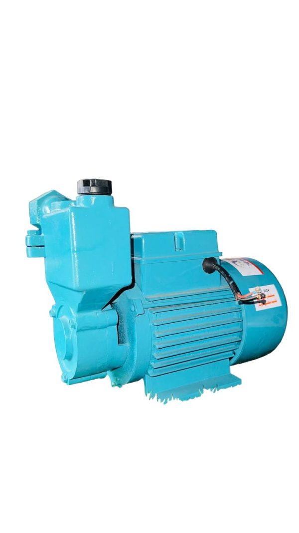 Astro Pump A100 (1hp/0.75kw) - Image 2