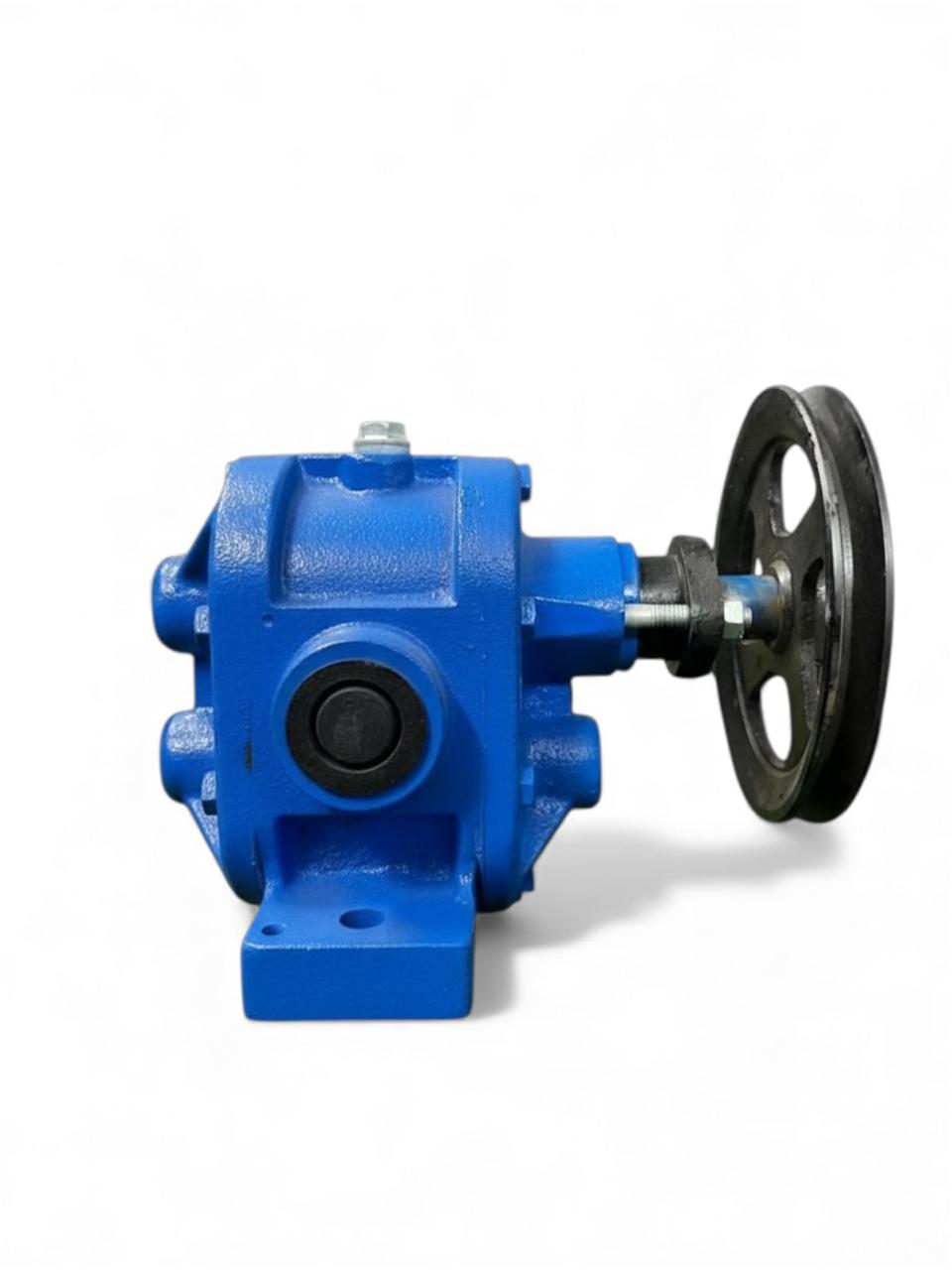 Astro Gear Pump – Cast Iron Gears, Oils & Viscous Fluids | 1"–4" ایسٹر گیئر پمپ – کاسٹ آئرن گیئرز، تیل اور گاڑھے سیال | 1"–4" 1 Astro Gear Pump